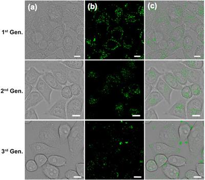 Novel Pyrazine-Bridged D-A-D Type Charge Neutral Probe for Membrane Permeable Long-Term Live Cell Imaging